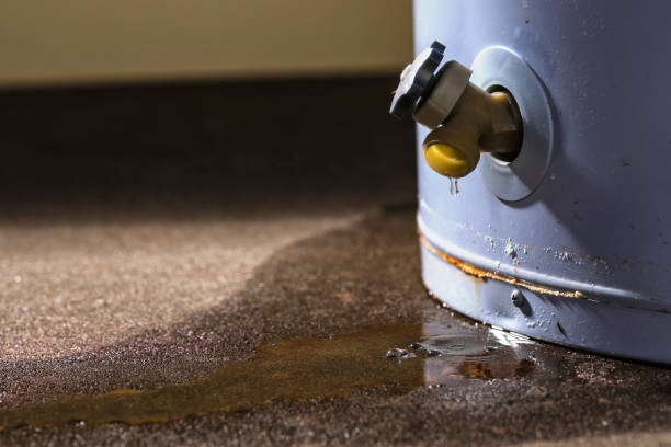Best Ceiling water damage repair  in Port Charlotte, FL