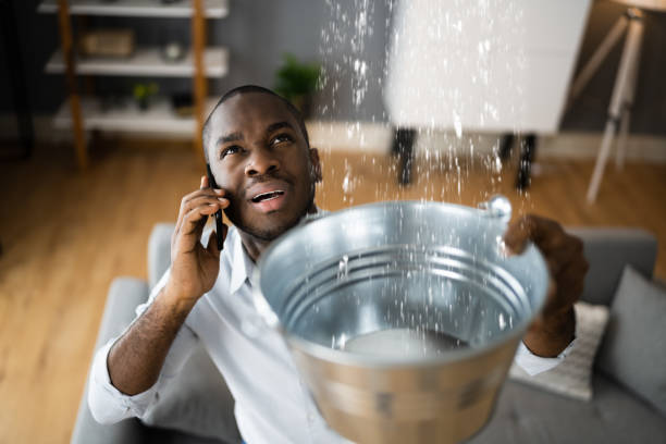 Best Fire Damage Restoration  in Port Charlotte, FL