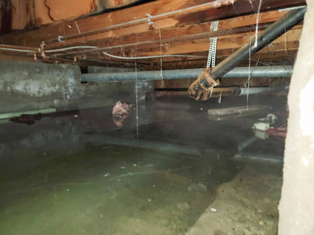 Best 24/7 water damage repair  in Port Charlotte, FL
