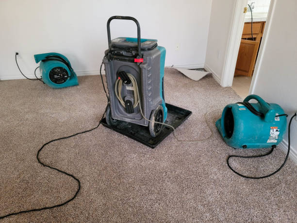 Best 24-hour water damage restoration  in Port Charlotte, FL
