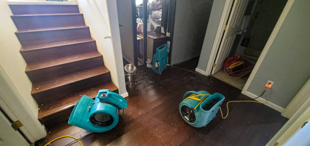 Best Commercial water damage restoration  in Port Charlotte, FL