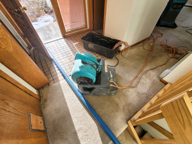 Best Sewage cleanup and water damage restoration  in Port Charlotte, FL
