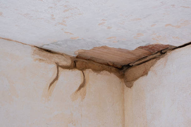 Best Fire Damage Restoration  in Port Charlotte, FL