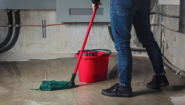Best Water damage restoration near me  in Port Charlotte, FL