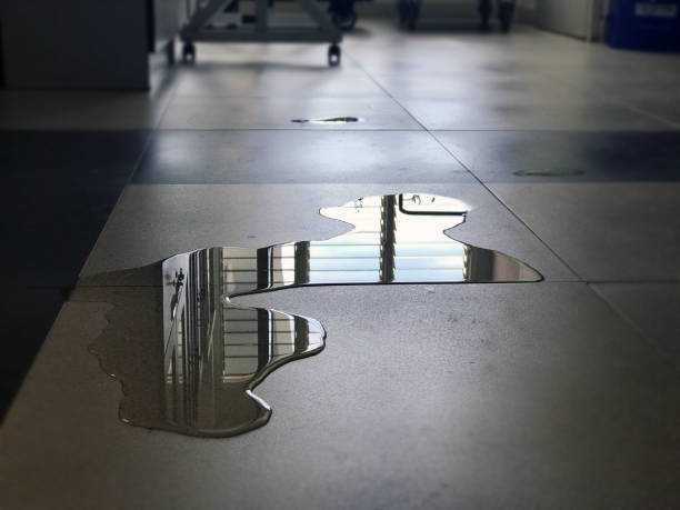 Water damage restoration experts in Port Charlotte, FL