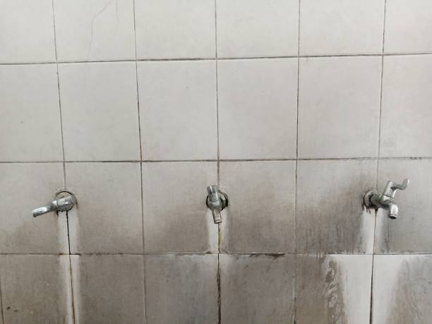 Best Water damage restoration near me  in Port Charlotte, FL