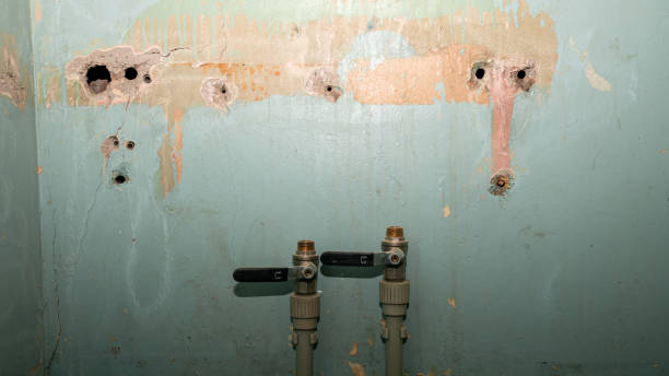 Best Water damage restoration insurance claims  in Port Charlotte, FL