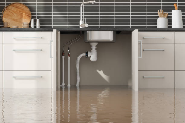 Best Emergency water extraction  in Port Charlotte, FL