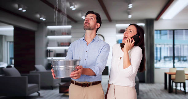 Water damage restoration mold remediation in Port Charlotte, FL