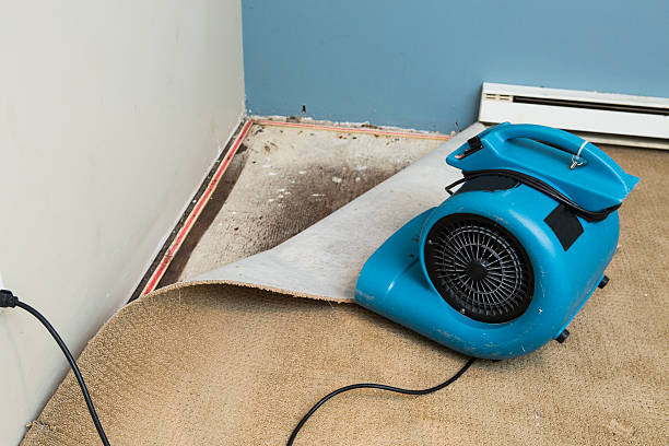 Best Flood damage cleanup  in Port Charlotte, FL